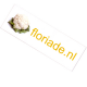FLORIADE-stickers.png